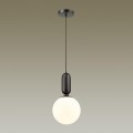 Подвесной светильник Odeon Light Pendant Okia 4668/1