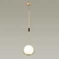 Подвесной светильник Odeon Light Pendant Flari 4810/1A