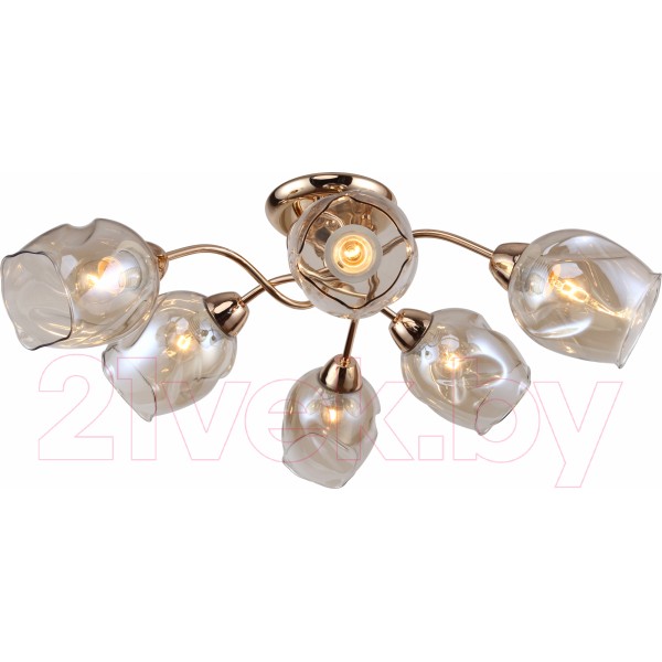 Люстра Lussole LGO Cochise GRLSP-8086