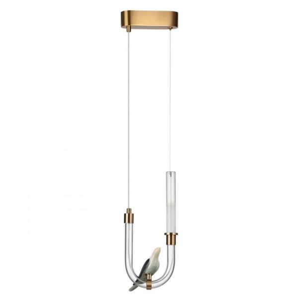 Подвесной светодиодный светильник Odeon Light L-Vision Lark 5431/2L