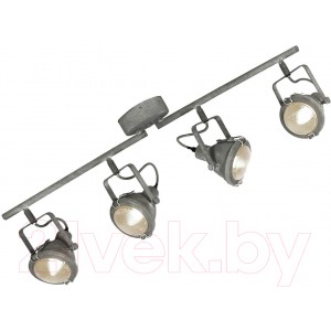 Спот Lussole Loft Brentwood GRLSP-9882