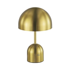 Настольная лампа Evoluce SLE1806-204-01