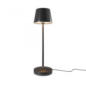 Аккумуляторный светильник Maytoni MOD494RL-L1BK