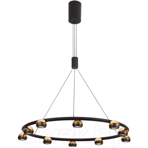 Люстра Lussole Lassen LSP-7253