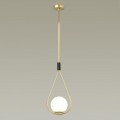 Подвесной светильник Odeon Light Pendant Flari 4810/1