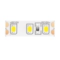 Светодиодная лента Maytoni Technical 9,6W/m 120LED/m 2835SMD теплый белый 5M 10108