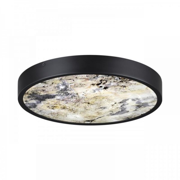 Настенно-потолочный светильник Odeon Light BERGI 5064/24L