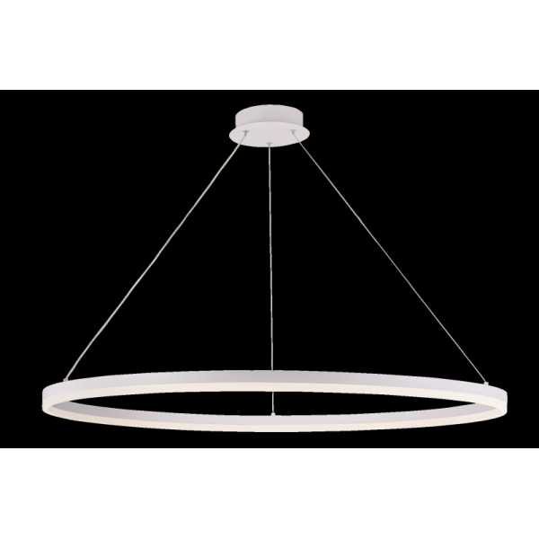 20214-10 SWT (1) Светильник (RL)