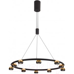 Люстра Lussole Lassen LSP-7253