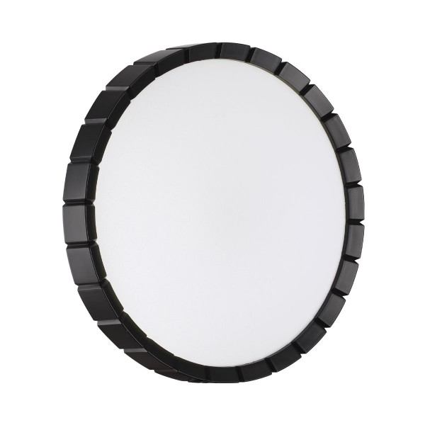 Настенно-потолочный светильник Sonex Pale Atabi Black 7649/CLN