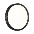 Настенно-потолочный светильник Sonex Pale Atabi Black 7649/CLN
