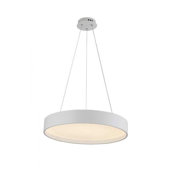 2541/600P WHITE (1) Подвесной светильник (RL)