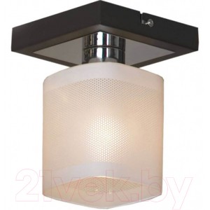 Потолочный светильник Lussole Loft Costanzo GRLSL-9007-01