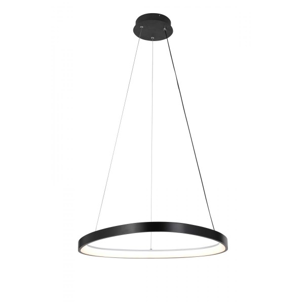 2550/650P BLACK (1) Подвесной светильник  (RL)