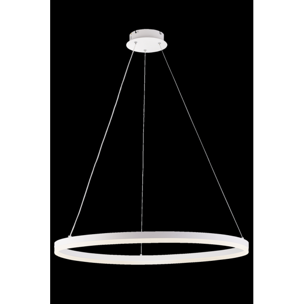 20214-8 SWT (1) Светильник (RL)