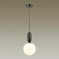 Подвесной светильник Odeon Light Pendant Okia 4668/1