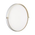 Настенно-потолочный светильник Sonex OLIDI WHITE 7646/DLN