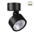 359588 STREET NT25 000 черный Светильник ландшафтный светодиодный IP65 LED 12W 3000К 100-240V FOCUS