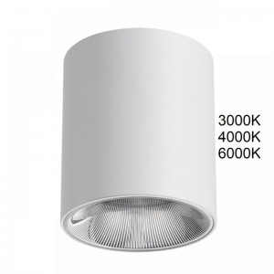 7139/12CL HIGHTECH ODL26 Потолочный светильник белый/металл IP20 LED 12W 960Лм 3000K/4000K/6000K  36° 220-240V BRIM