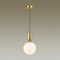 Подвесной светильник Odeon Light Pendant Okia 4669/1