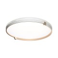 Настенно-потолочный светильник Sonex OLIDI WHITE 7646/DLN
