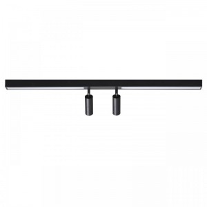 Потолочный светильник Lumion HAWK 5690/14CL