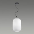 Подвесной светильник Odeon Light Pendant Roofi 4752/1