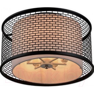 Потолочный светильник Lussole Loft Levittown GRLSP-9676