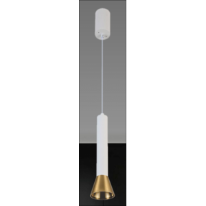 1049WH+GD BLACK (1/30) Светильник