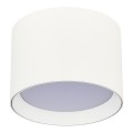Потолочный светильник ST Luce ST163.502.01