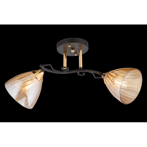 4618/2 BK+FGD (6) Люстра (RL)