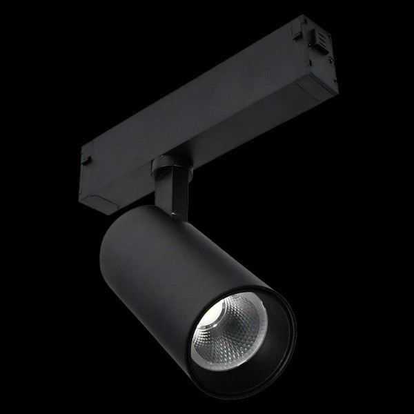 Трековый светильник ST LUCE SKYLINE 220 ST660.496.10H