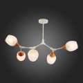Потолочная люстра Evoluce Ciotolla SLE113502-05