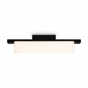 Потолочный светильник Freya FR5625CL-L20B