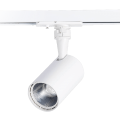 Трековый светодиодный светильник ST Luce Cami ST351.546.10.36