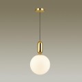 Подвесной светильник Odeon Light Pendant Okia 4672/1