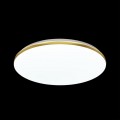 3043/DL TAN SN 214 Светильник пластик/белый/золотистый LED 48Вт 3000-6500К D385 IP43 пульт ДУ/ LampSmart LASSA