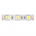 Светодиодная лента Maytoni Technical 14,4W/m 60LED/m 5050SMD холодный белый 5M 10130