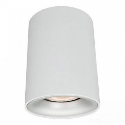 Потолочный светильник Arte Lamp Torre A1532PL-1WH Потолочный светильник Arte Lamp Torre A1532PL-1WH