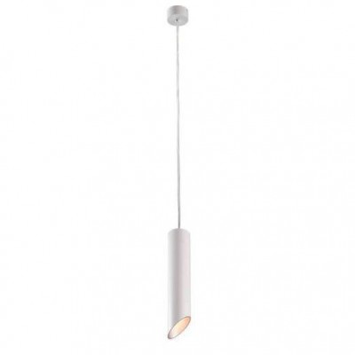 Подвесной светильник Arte Lamp Pilon-Silver A1536SP-1WH