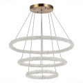 Подвесной светодиодный светильник ST Luce Avana SL6110.203.03