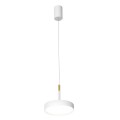 Подвесной светодиодный светильник Favourite Piller 4505-1P