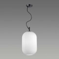 Подвесной светильник Odeon Light Pendant Roofi 4752/1
