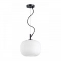 Подвесной светильник Odeon Light Pendant Roofi 4753/1