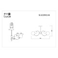 Потолочная люстра Evoluce Formae SLE220922-06