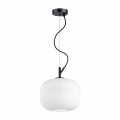 Подвесной светильник Odeon Light Pendant Roofi 4753/1