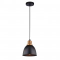 Подвесной светильник Arte Lamp Eurica A4245SP-1BK Подвесной светильник Arte Lamp Eurica A4245SP-1BK