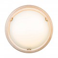 Настенно-потолочный светодиодный светильник Sonex Snok Provence 7605/BL