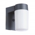 Уличный настенный светильник Arte Lamp Spasso A8058AL-1GY