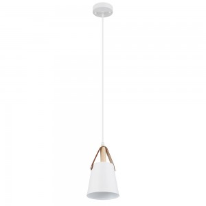 Подвесной светильник Arte Lamp THOMAS A7032SP-1WH Подвесной светильник Arte Lamp THOMAS A7032SP-1WH